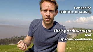 Sandpoint, Bristol Channel - Fishing mark oversight and species breakdown