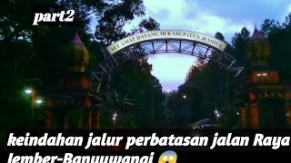 viral!! keindahan jalur perbatasan Jember-Banyuwangi part2#banyuwangi #jember #gumitir