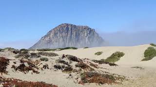 A Walk Around Morro Bay Dunes, California