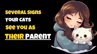 Several Signs that Your Cats See you As Their Parent