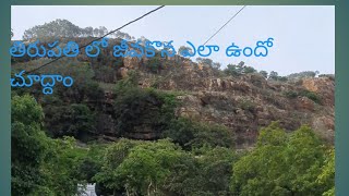 Jeeva kona Temple in Tirupathi