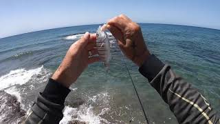 Um atrás do outro pesca em canárias