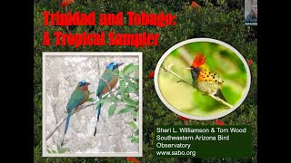 Naturalist Journeys' Trinidad & Tobago Incredible Birds & Wildlife Tours  www.naturalistjourneys.com