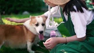 Portable Pet Drinking Water Bottle