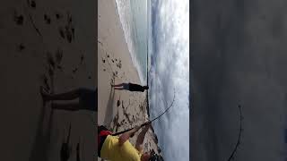 BIG SHARK off the BEACH!!! #shark #edit #trending #youtubeshorts #fishing #shorts #live #viral