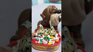 Don't try to steal his chocolate and candies #asmr #shorts #trendy #best #grumpydog