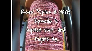 Rose "Spins a Yarn" EPISODE 3 - Alpaca Visit and Figure 8s