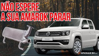 Problema Amarok: Trocador De Calor Resfriador Válvula Egr