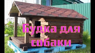 Будка для собаки