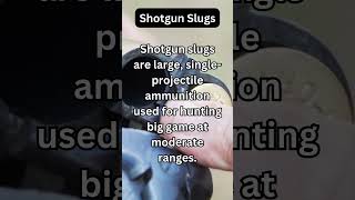 Shotgun Slug #shotgun #facts