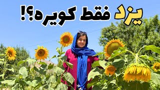 سانیج: روستای خوش آب و هوای یزد که اسمش را هم نشنیده اید!