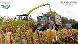 ENSILAGE DE MAÏS 2019 | ETA SEVENO