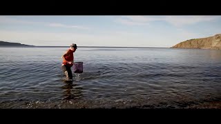 How to catch and not catch capelin | CINEMATIC VLOG | Sony a6000 + Sigma 16mm F1.4 DC DN