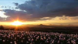 Sunset over Hazmburk castle (Czech Rep.) 2016/06/27