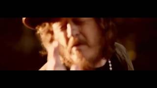 Zucchero  - Oltre le rive