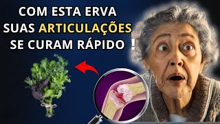 Esta é a melhor erva para dores nas articulações! Alívio Natural e Rápido!