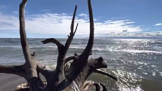 Point Pelee - Southernmost tip of Mainland Canada