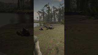 😨What’s The Alligator Doing?!😬 #reddeadredemption2 #shorts