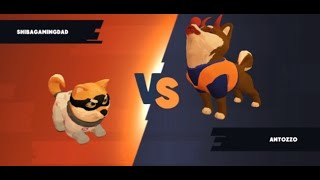 😍🤩Shiba Eternity🤩😍Grand Master Battle💪Bandit vs Antozzo💪 #shibaeternity #shibarmy  #shiba #shiboshis