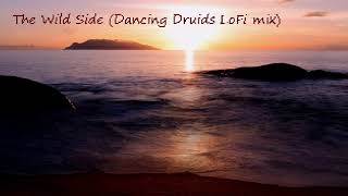 The Wild Side (Dancing Druids LoFi mix)