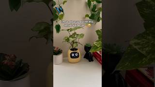 You need this smart ai planter 🪴 #plants #plantlover #indoorplants