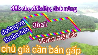 Bán 3ha cao su ôm view hồ đăk sin, đăkrlâp.0987326906