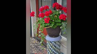 60+ Creative Diy Recycled Garden Planter Ideas to Try||Summer Planter Home Decor ideas