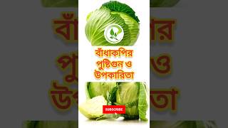 বাঁধাকপির পুষ্টিগুন ও উপকারিতা | Nutritional Value and Benefits of Cabbage