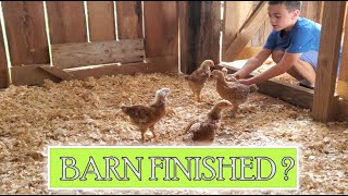 Prepping the barn for Chickens - Part 3!