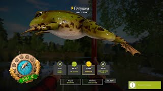 Трофейная Лягушка. Закрытие водоёма. Озеро Комариное. Русская рыбалка 4 | Russian Fishing 4