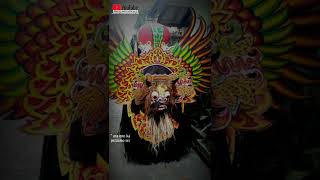 story wa || barong banyuwangi