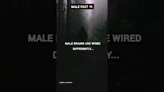 Male Fact: Male Brains Are Wired Differently 🧠♂️ #shortsfeeds #facts #factsshorts  #muscle #video