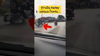 รู้ว่าเป็น Harleyแต่รุ่นอะไรครับ... #harleydavidson #harley