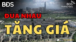 Giá đất tăng theo luật đất đai 2024 - Người mua sẽ bị ảnh hưởng thế nào ? BĐS Thường Ngày