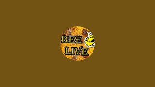 Bee Live überträgt einen Livestream.