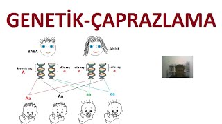 ÇAPRAZLAMA-GENETİK