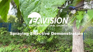 EAVISION Drone Spraying Effective Demonstration