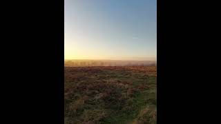 Walks out in the Countryside. Lovely sunset at Bradgate Park. Days out with Dawkins and Kearney. 🕺🐕