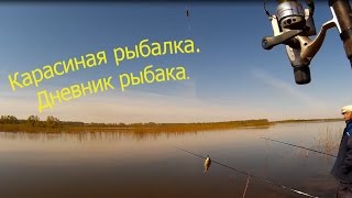 Рыбалка на карася. Рыбаки и Бараны на рыбалке.