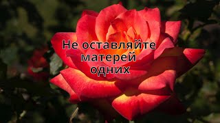 СТИХИ. Не оставляйте матерей одних. Красивые стихи.