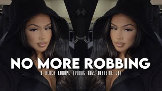 no more robbing - d block europe (sped up)