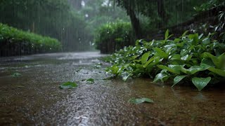 Fall Asleep FASTER with Heavy Thunder Rain Sounds