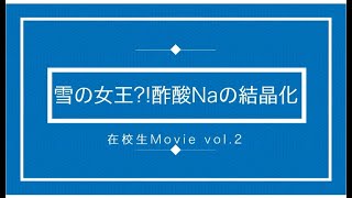 【在校生が〇〇実験やってみた！】vol.2　雪の女王?!酢酸Naの結晶化