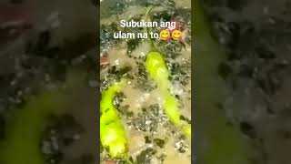 LAING BICOL RECIPE.  #ulam #laing #laingrecipe #ulampinoy #shortvideo #shortsvideo #shorts #