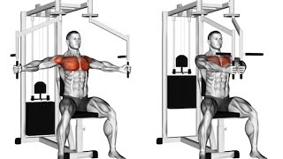 The Best Chest Machine Exercises for Beginners in 2024