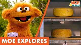 Moe Explores Cheese | Kids Learn How Cheese is Made | #MoeExplores