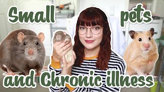 Caring for small pets when you have a Chronic illness