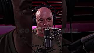 Joe Rogan Gets Pulled Over...