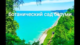 BATUMI - Ботанический сад Батуми - как выглядит ? что новое ?