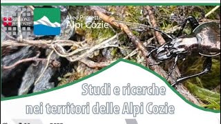 Studi e ricerche nei Parchi Alpi Cozie (14 marzo 2022)